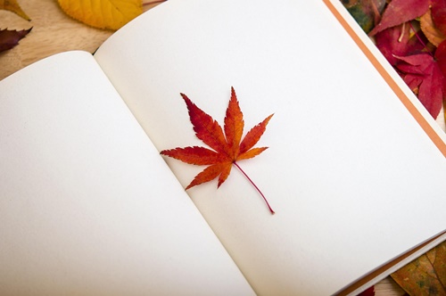 감사로 여는 하루: 아침 감사 일기의 힘